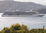 Your Local Chauffeur: Picton: Private Shore Excursion Marlborough Highlights — Marlborough - Photo 1